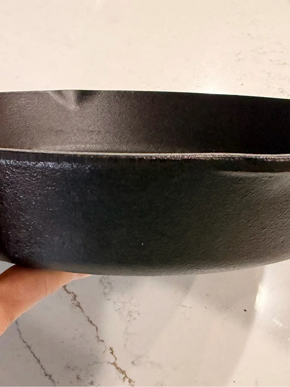 Lodge 10SK Cast Iron Skillet Pan 12